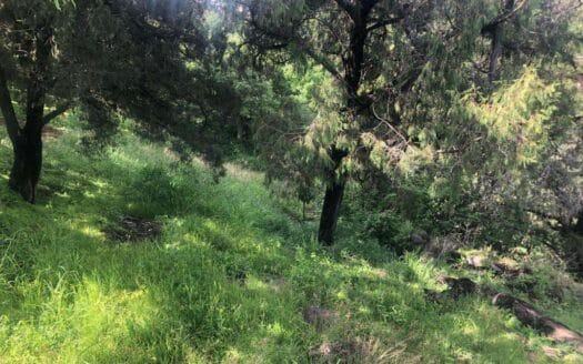 Terreno Rancho Tetela